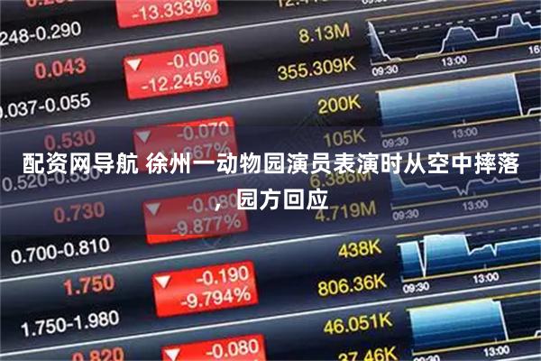 配资网导航 徐州一动物园演员表演时从空中摔落，园方回应