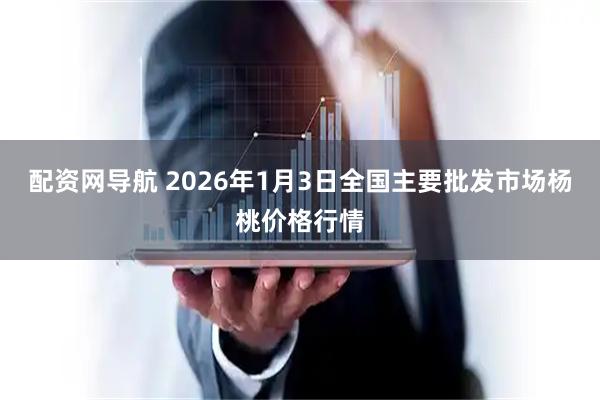 配资网导航 2026年1月3日全国主要批发市场杨桃价格行情