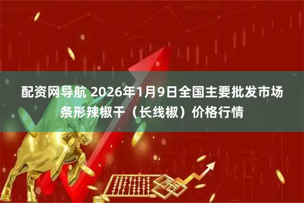 配资网导航 2026年1月9日全国主要批发市场条形辣椒干（长线椒）价格行情